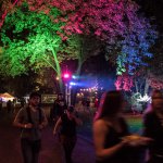 Eindrücke vom Parkfest 2017 - Der Freitag